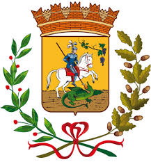 logo Venegono Superiore